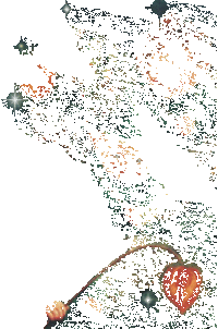 Тюльпанные эльфы