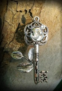 Универсальный Ключ