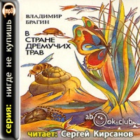 В Стране Дремучих Трав