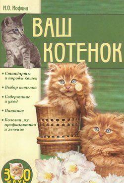 Ваш котенок