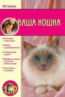 Ваша кошка