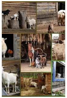 Вересковые поля