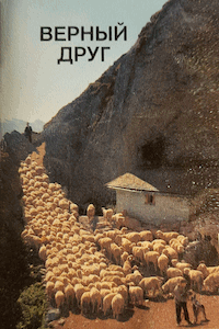 Верный друг