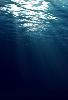 Ветвь эволюции