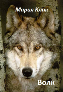 Волк (wolf)
