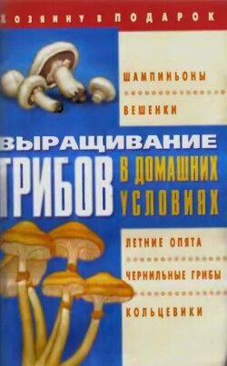 Выращивание грибов в домашних условиях