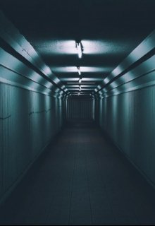 Высшая мера