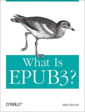 What is EPUB 3?