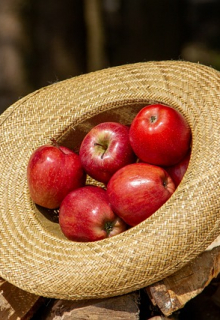 Яблоки и деревья