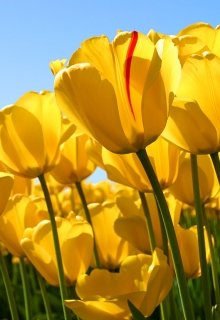 За что мне это?