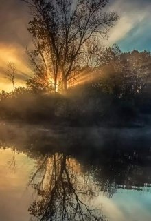 Зеркальный эффект