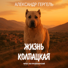 Жизнь колпацкая