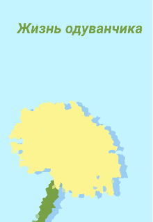 Жизнь Одуванчика