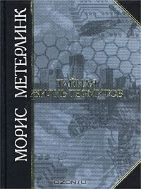 Жизнь термитов