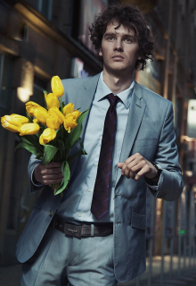 Жёлтые тюльпаны