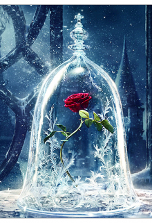 Зимние цветы