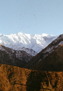 Зуб Дракона